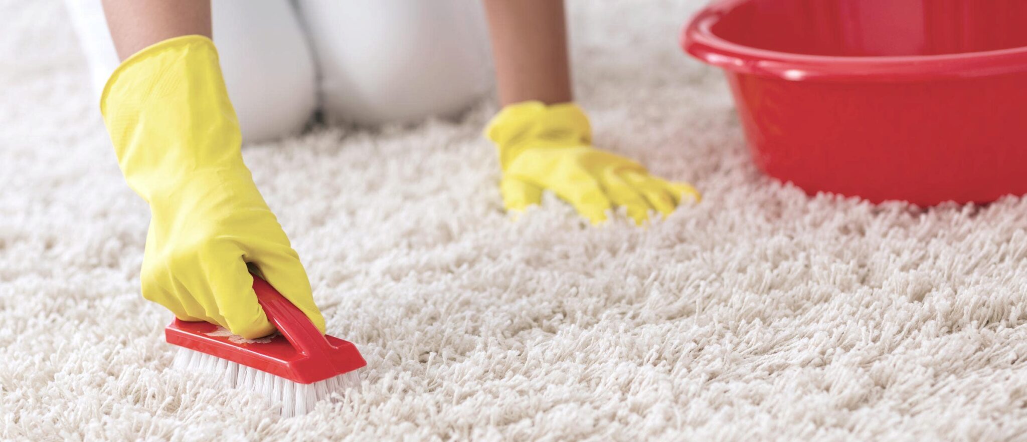 Wie Oft Sollten Sie Ihren Teppich Reinigen?